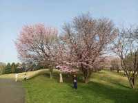 Makomanai Park
