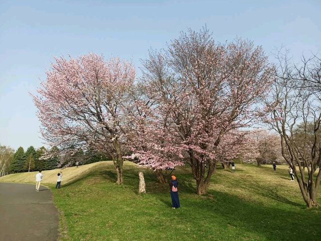 Makomanai Park