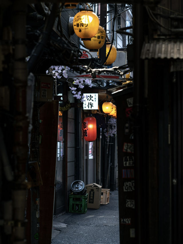 【新宿】新宿思い出横丁の四季：ノスタルジックな飲み屋街が見せる四季折々の表情🍢🌸🍁⛄