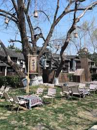 From Hanfu to Morning Tea: A Perfect Stay in Wuzhen 🫖