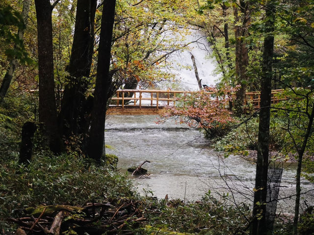 Senjogahara กับใบไม้เปลี่ยนสี ที่ Nikko คือที่สุดด