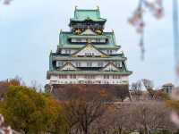Chasing Sakura at Osaka Castle