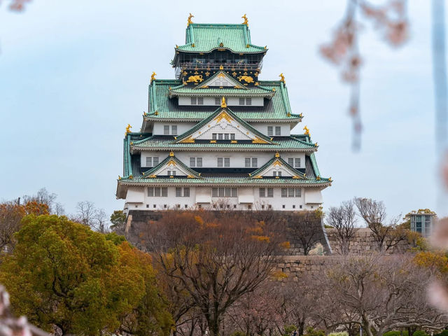 Chasing Sakura at Osaka Castle