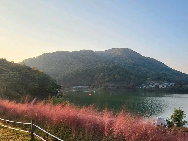 핑크뮬리 맛집 음성 유리원