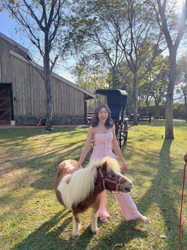 จุดเชคอิน 📍เขาใหญ่ ✨Rancho Club