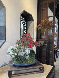 Morning Magic at Humble Administrator’s Garden: A Timeless Journey Through China’s Finest Classical 