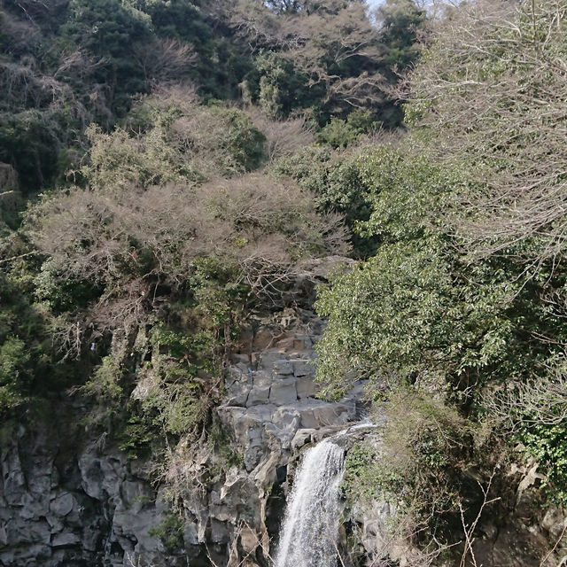 中文觀光區