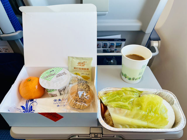 【西安咸陽国際空港T3】中国南方航空ビジネスクラスラウンジ体験談 ✈️✨