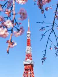 Tokyo Spring vibes unlocked 🌸