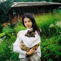 Mori Natural Farm โมริ เนเชอรัลฟาร์ม เชียงใหม่ 🏮🛖