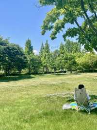 사계절 다 예쁜 피크닉하기 좋은 부산공원