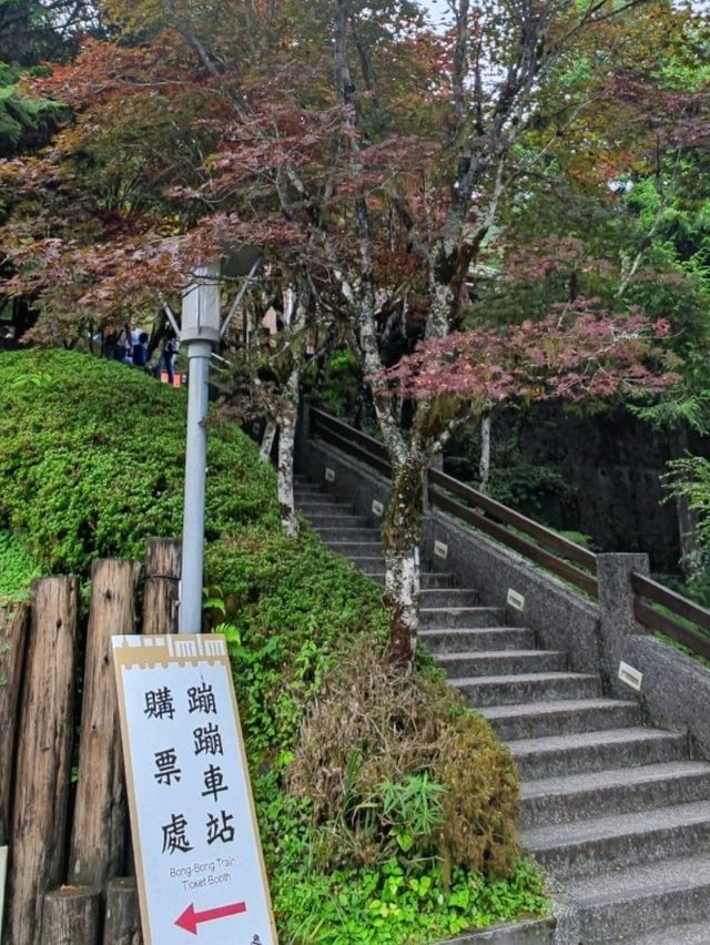 # 太平山國家森林遊樂區- 宜蘭縣大同鄉