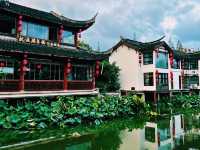 🇨🇳:上海 古き良き中国が息づく水郷の街並み🌊🏮