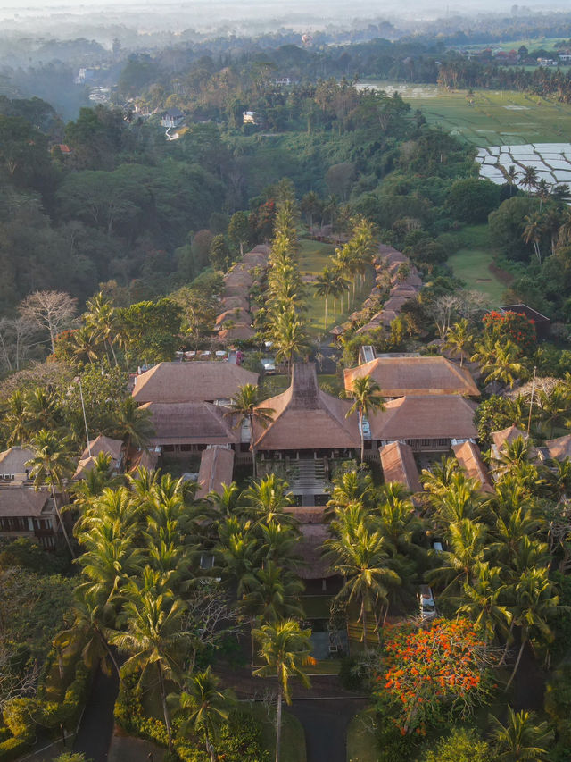 峇里島 | 必存！我最愛的烏布度假酒店Maya Ubud🌴