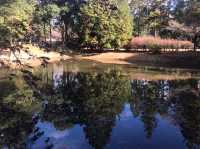 紅葉と禅の静寂に癒される♪美しき庭園の寺「永保寺」へ🍂