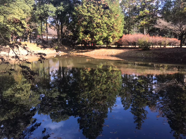 紅葉と禅の静寂に癒される♪美しき庭園の寺「永保寺」へ🍂