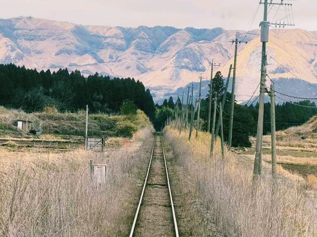 日本熊本縣著名旅遊城市景點熊本城旅行攻略，適合打卡拍照📸