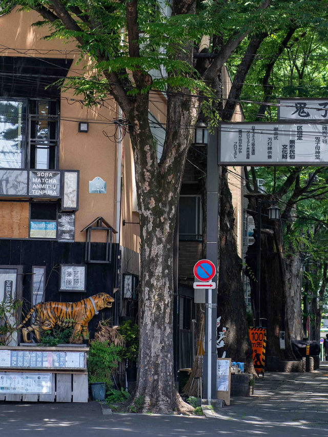 雑司が谷スナップ🍃 – 静かな街並みと歴史のあるエリア