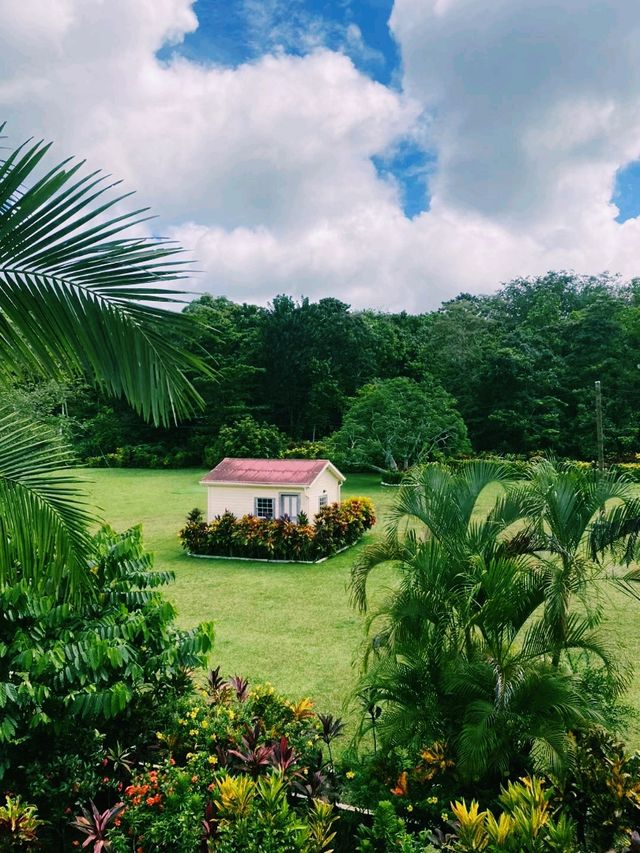 薩摩亞著名博物館景點：Robert Louis Stevenson Museum，適合打卡拍照📸