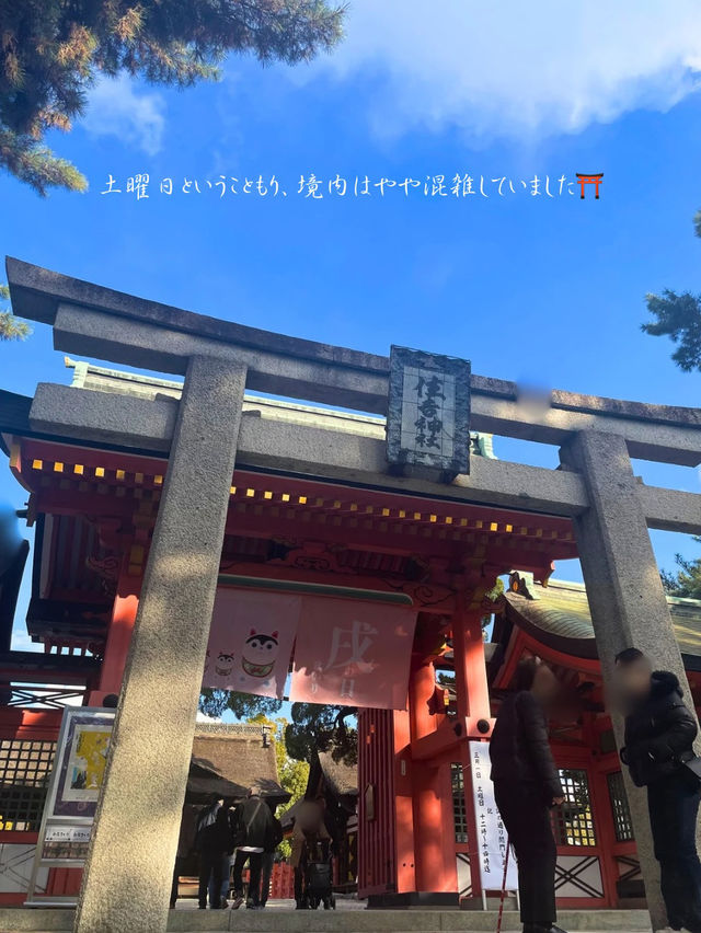 刺繍の御朱印とうさぎみくじ🐇がかわいい⛩️パワースポット
