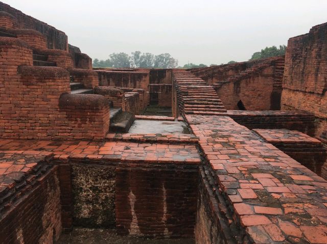 🇮🇳 世上第一所大學+祇園精舍