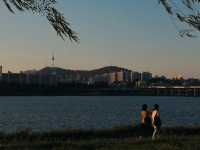 盤浦漢江公園｜漢江最浪漫夜景地標，一睇就愛上！