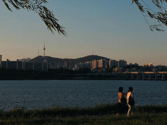 盤浦漢江公園｜漢江最浪漫夜景地標，一睇就愛上！