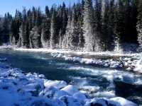 Whispers of Ice: The Magic of Sayram Lake