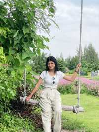 วอนแดซอง: เกาหลีทิพย์ มุมดอกไม้สีเหลืองละมุนใจ