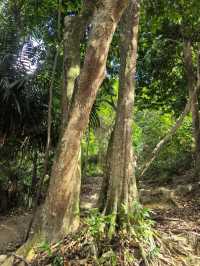Hiking in Kuala Lumpur city