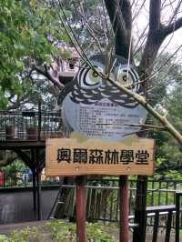#奧爾森林學堂-桃園市桃園區