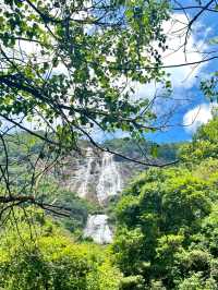 Xiangu Waterfall: Nature’s Majesty and Forest Trails