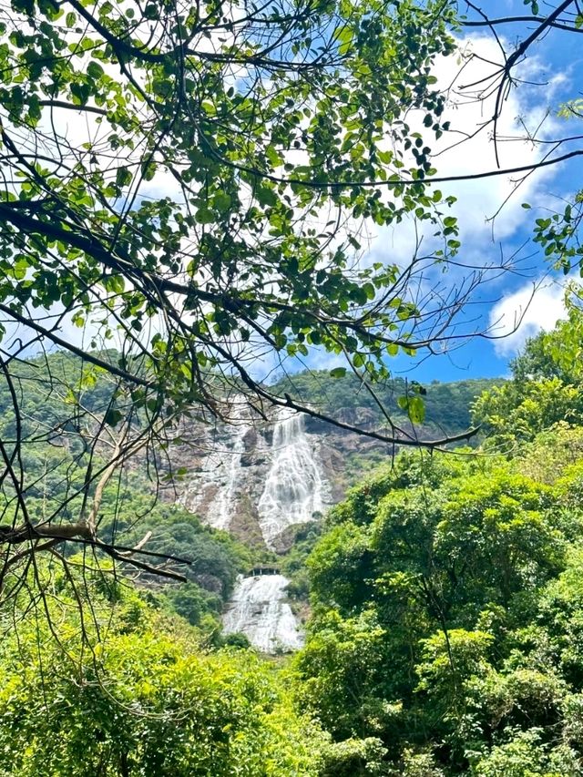 Xiangu Waterfall: Nature’s Majesty and Forest Trails