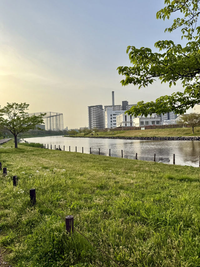 Spring Stroll at Sumida Kuritsu Kyunakagawamizube Park