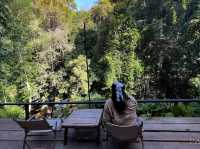 นอนแม่ลาย สายธรรมชาติ Bee forest