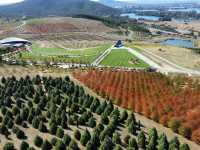 Discover the Enchanting National Arboretum Canberra! 