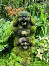 A Gem in the Heart of Singapore: National Orchid Garden