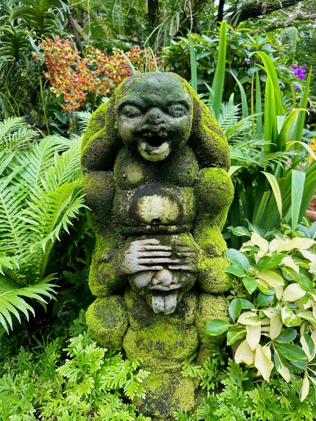 A Gem in the Heart of Singapore: National Orchid Garden