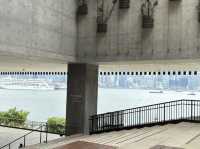 「香港放空好去處」 西九龍M+博物館
