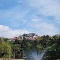 Zhangping Yongfu Cherry Blossom Garden – Fujian