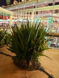 Sunway City Hari Raya – A Green Celebration of Sustainability