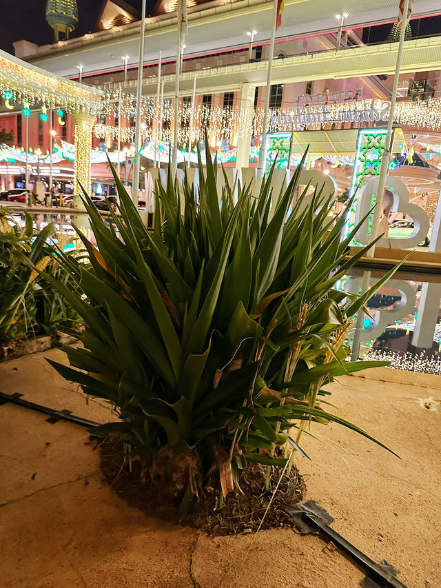 Sunway City Hari Raya – A Green Celebration of Sustainability