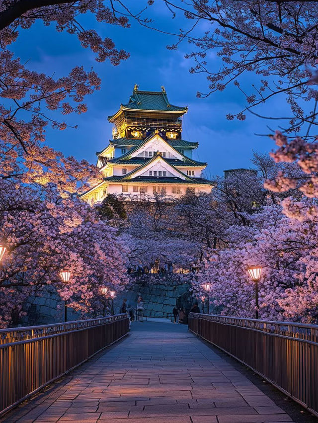 Sakura Splendor at Osaka Castle Park