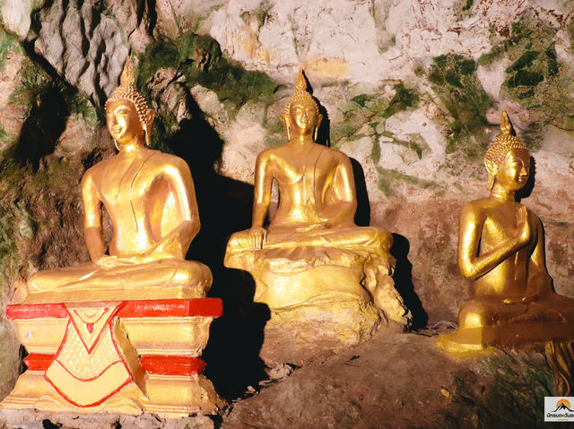 วัดถ้ำสิงขร 