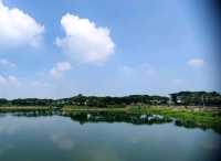 #紫籐湖-雲林縣斗六市