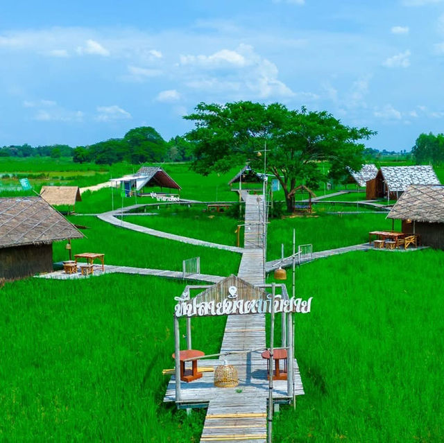 ที่ปลายนาตากับยาย อุทัยธานี