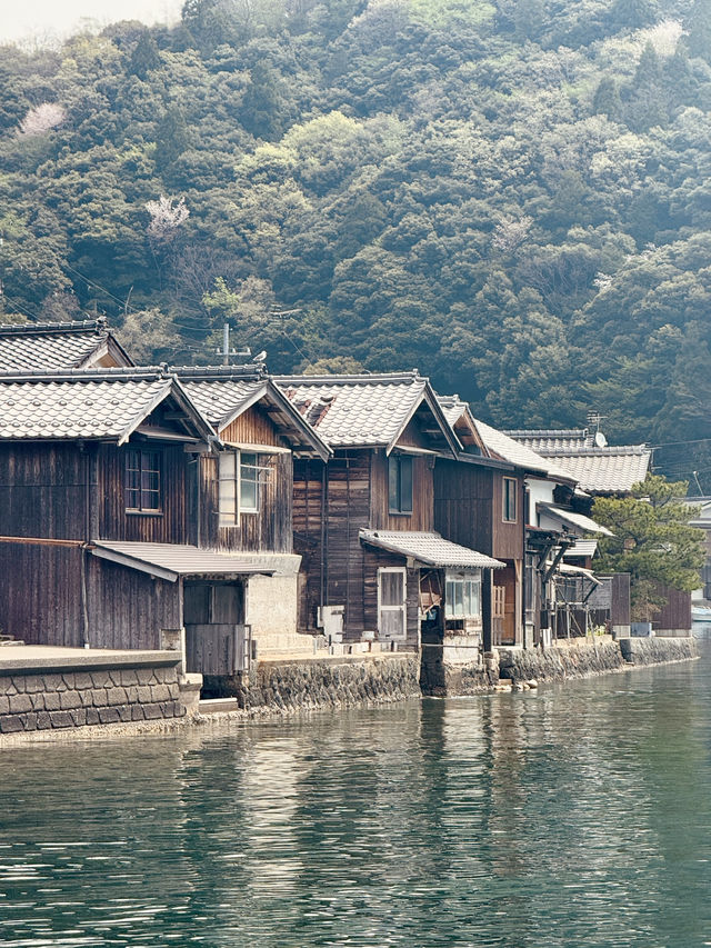Japan’s best-kept secret! 🌊