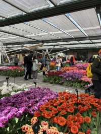 A day in Keukenhof