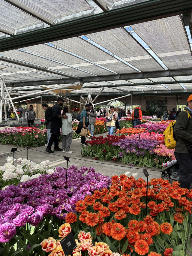 A day in Keukenhof
