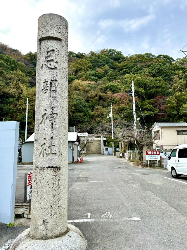 【徳島県】神祇氏族ゆかりの神社